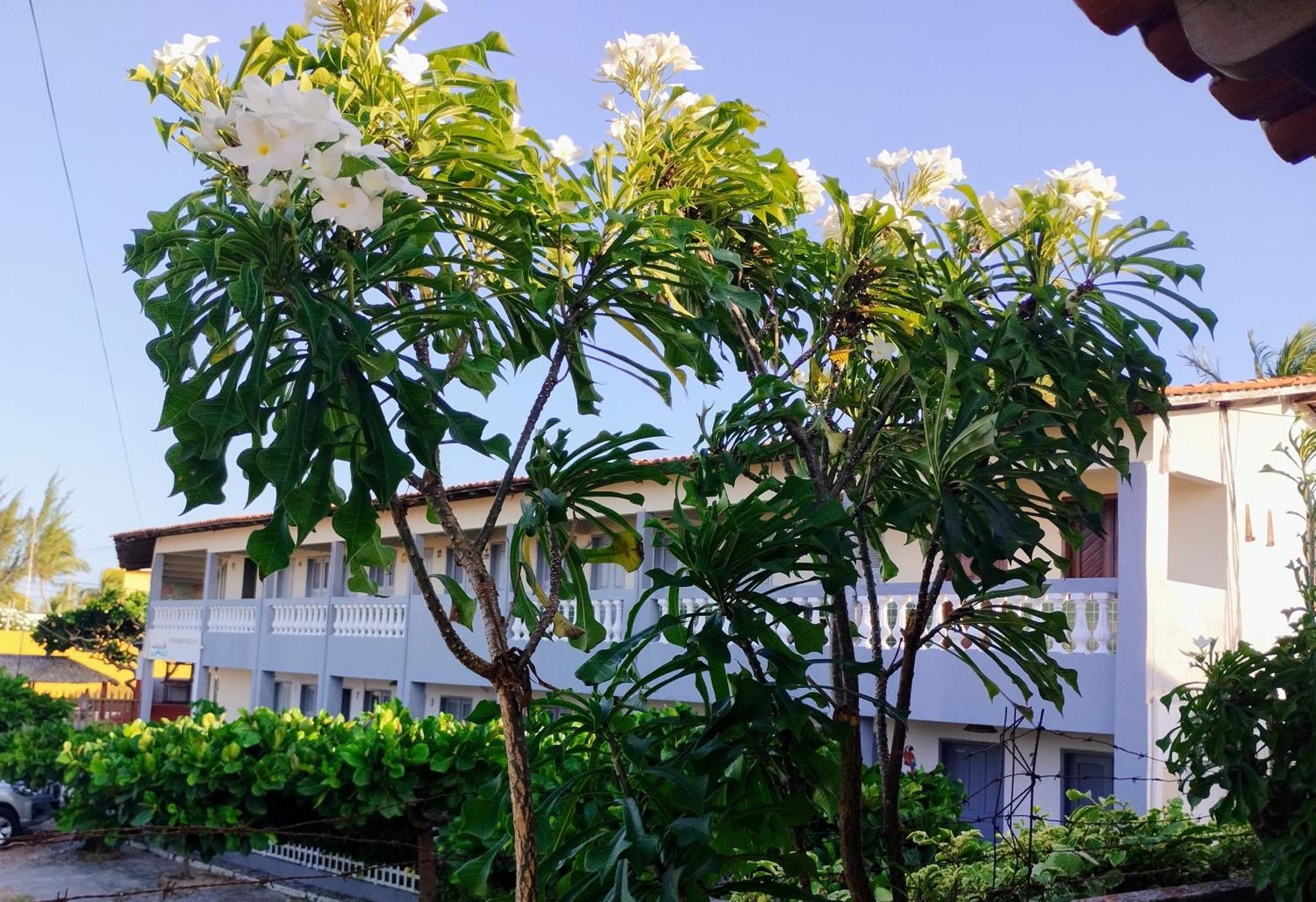 Pousada Embarcacao Otel Tutóia Dış mekan fotoğraf